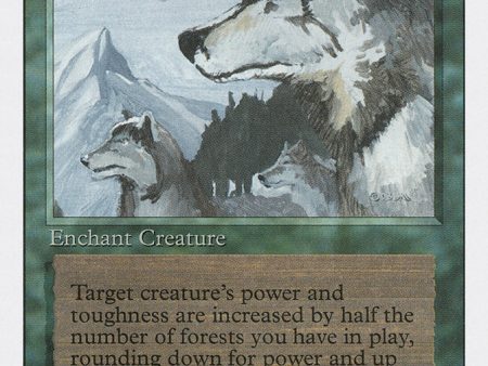 Aspect of Wolf [Revised Edition] For Sale