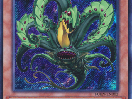 Predaplant Drosophyllum Hydra [FUEN-EN002] Secret Rare Supply