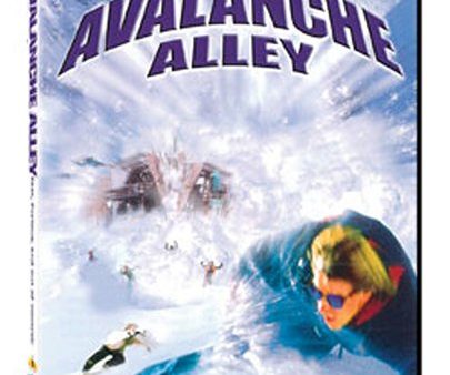 AVALANCHE ALLEY Online Hot Sale